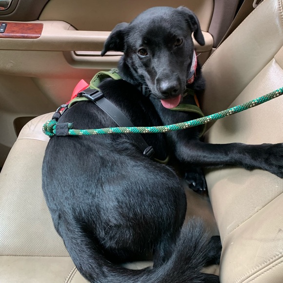 Meet your Posher, Bryce - Picture 1 of 1